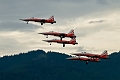 029_AirPower_Patrouille Suisse na F-5E Tiger